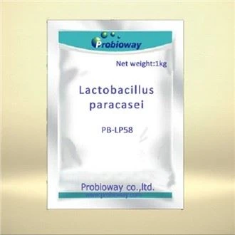 Lactobacillus Paracasei Postbiòtics