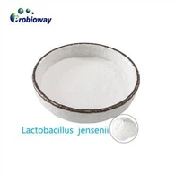 Lactobacillus Curvatus orgànic